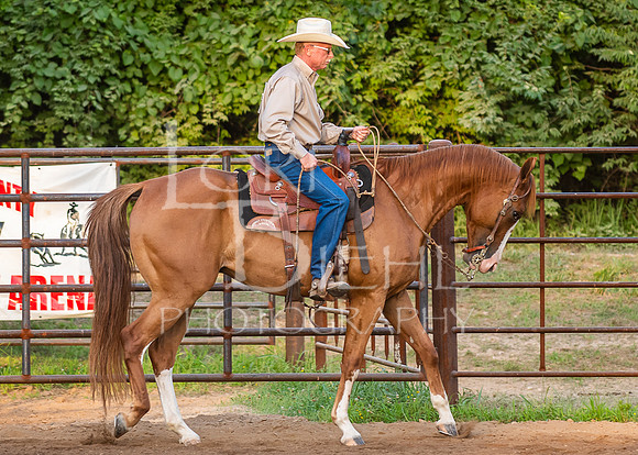2019-07-11 LCF Open Horse Show - JS-39
