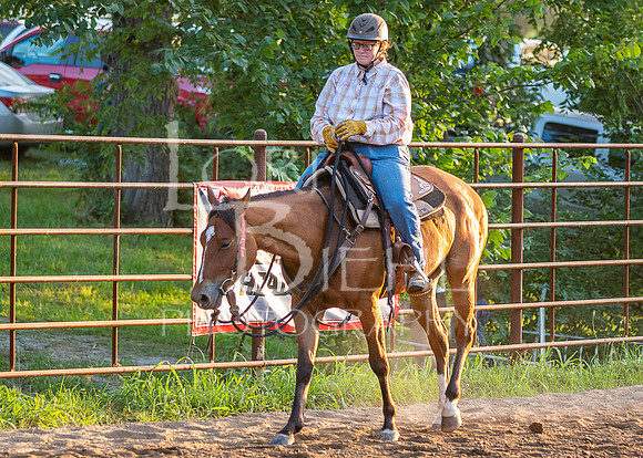 2019-07-11 LCF Open Horse Show - JS-45