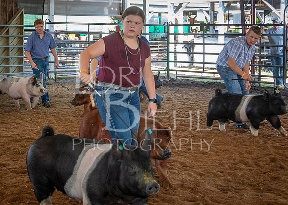 2024-07-10 LCF Master Showmanship #1 - LB-37