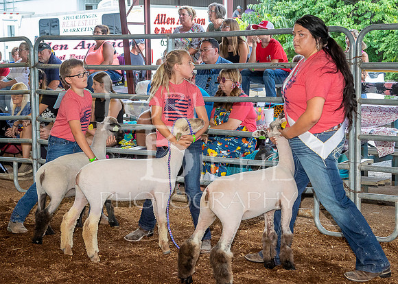 2022-07-13 LCF Jr. Lamb Show #1-LB-10