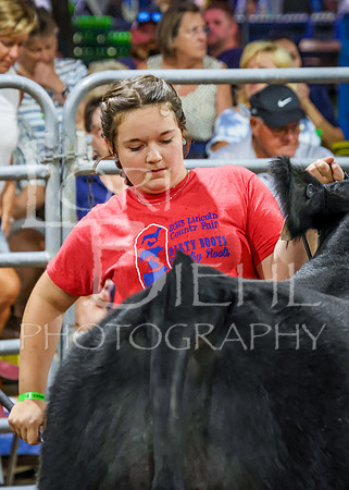 2023-07-12 Jr. Steer Show - CH-212