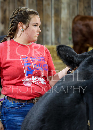 2023-07-12 Jr. Steer Show - CH-242