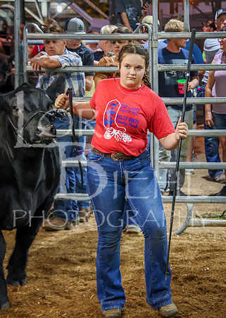 2023-07-12 Jr. Steer Show - CH-198