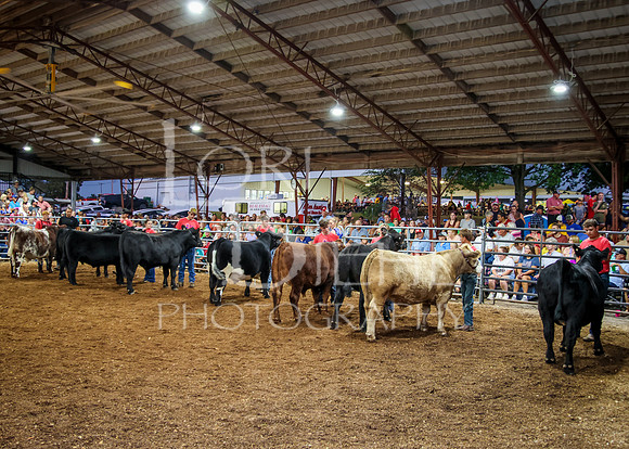 2023-07-12 Jr. Steer Show - CH-223