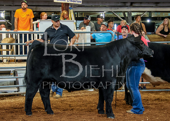 2023-07-12 Jr. Steer Show - CH-238