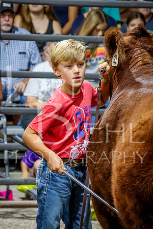 2023-07-12 Jr. Steer Show - CH-297