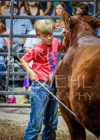 2023-07-12 Jr. Steer Show - CH-296