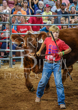2023-07-12 Jr. Steer Show - CH-278