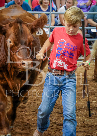 2023-07-12 Jr. Steer Show - CH-279