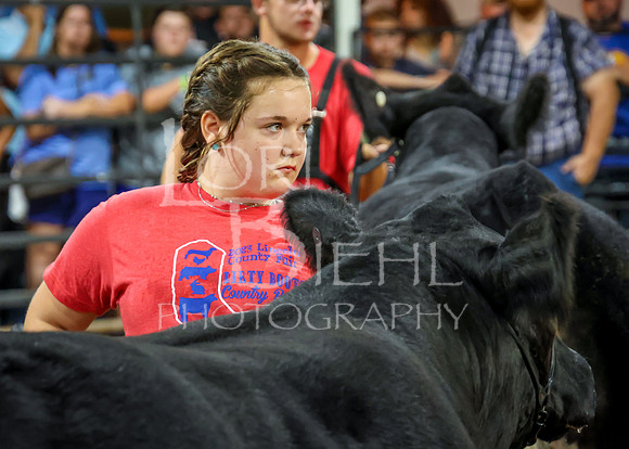 2023-07-12 Jr. Steer Show - CH-244