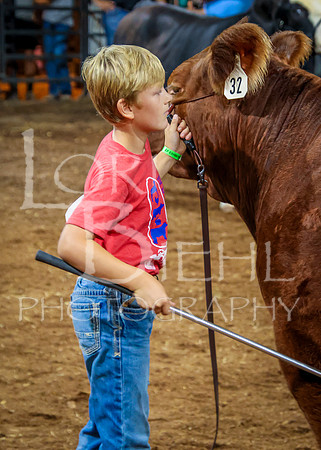 2023-07-12 Jr. Steer Show - CH-314