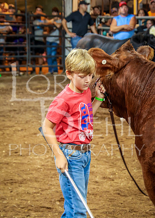 2023-07-12 Jr. Steer Show - CH-313