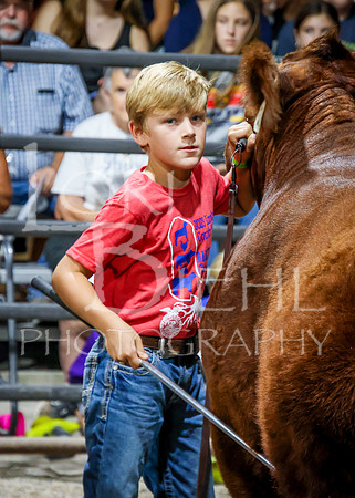 2023-07-12 Jr. Steer Show - CH-298