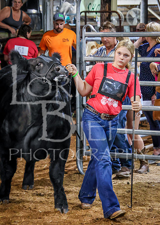 2023-07-12 Jr. Steer Show - CH-414