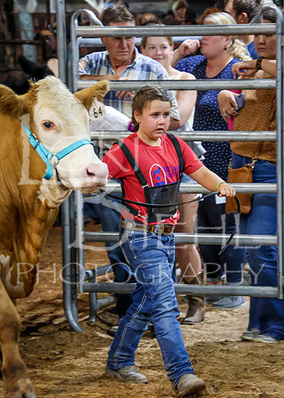 2023-07-12 Jr. Steer Show - CH-417