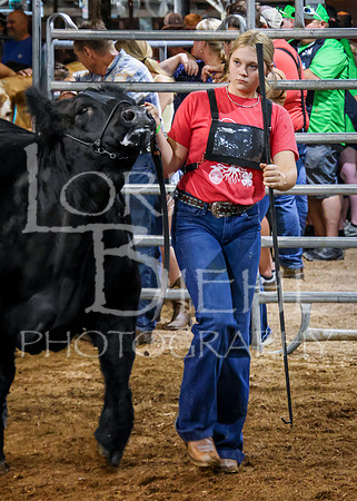 2023-07-12 Jr. Steer Show - CH-415