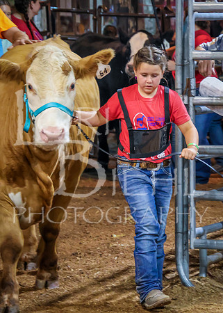 2023-07-12 Jr. Steer Show - CH-416