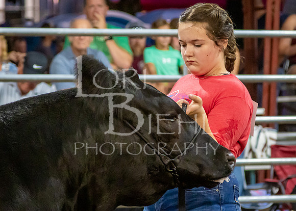 2023-07-12 Jr. Steer Show - LB-58
