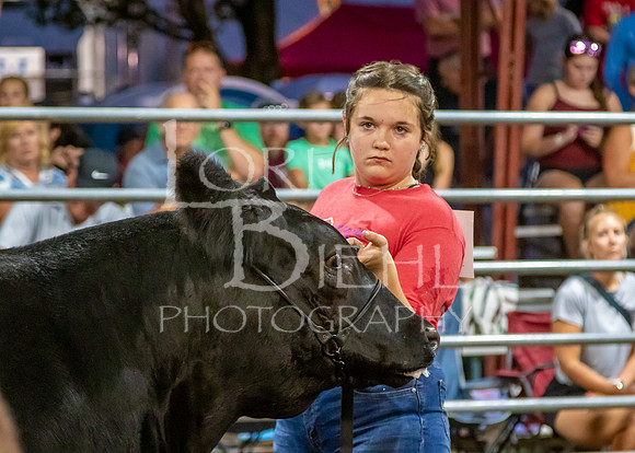 2023-07-12 Jr. Steer Show - LB-57