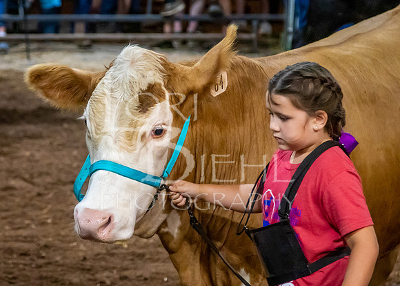 2023-07-12 Jr. Steer Show - LB-141