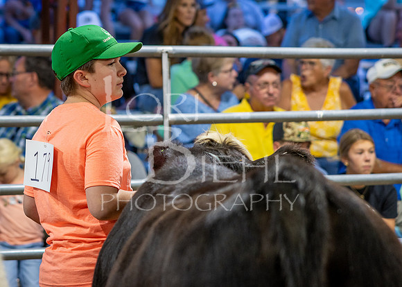 2024-07-10 LCF Jr. Steer Show #1 - CH-26
