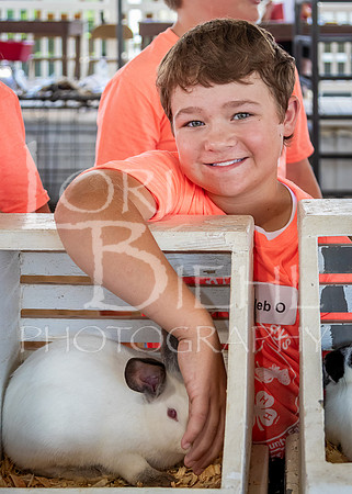 2024-07-08 LCF Jr. Rabbit Show #1 - LB-74