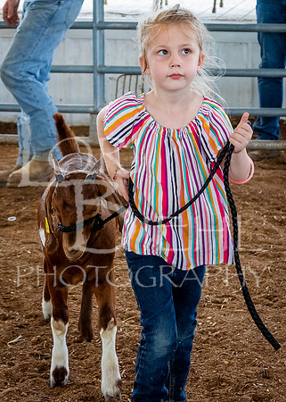 2024-07-12 LCF Open Breeding Goat Show #1 - LB-92