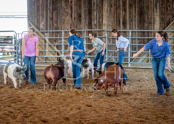 2024-07-10 LCF Master Showmanship #1 - LB-35
