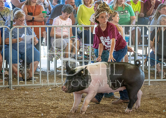 2019-07-09 - Jr. Swine Show - LB-9