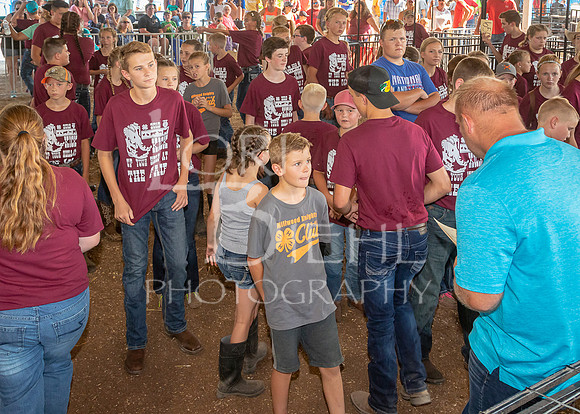 2019-07-09 - Jr. Swine Show - LB-3