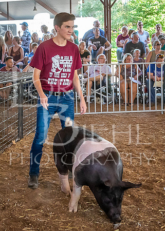 2019-07-09 - Jr. Swine Show - LB-10