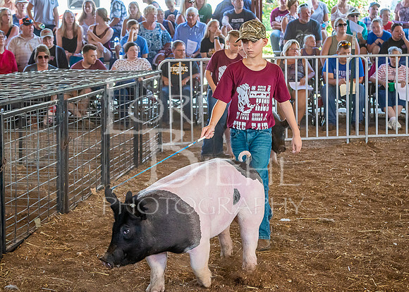 2019-07-09 - Jr. Swine Show - LB-11