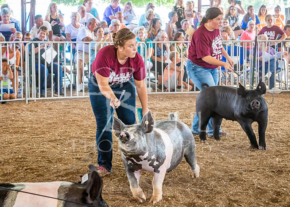 2019-07-09 - Jr. Swine Show - LB-12