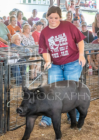 2019-07-09 - Jr. Swine Show - LB-14