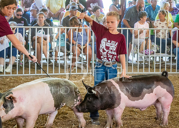 2019-07-09 - Jr. Swine Show - LB-16