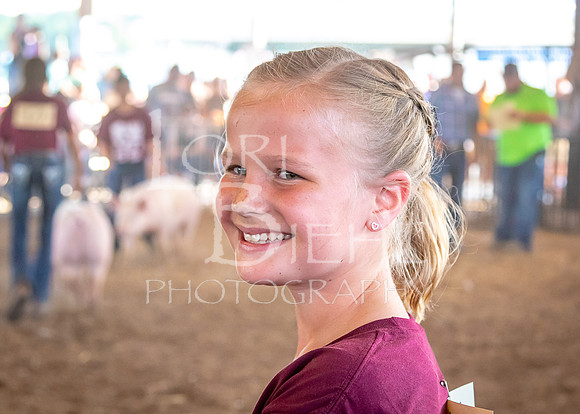 2019-07-09 - Jr. Swine Show - LB-22