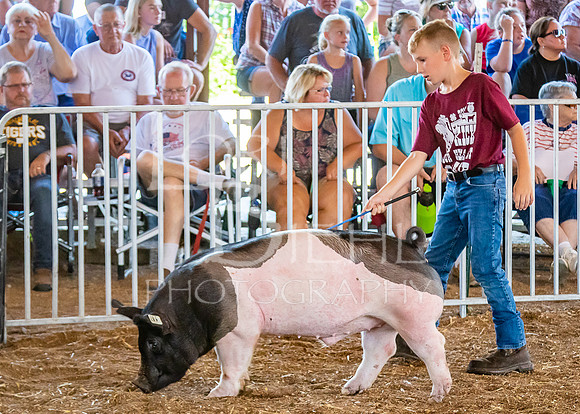 2019-07-09 - Jr. Swine Show - LB-29