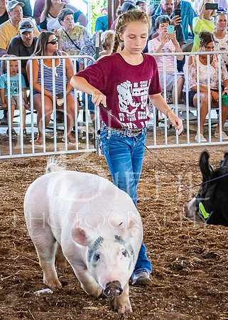 2019-07-09 - Jr. Swine Show - LB-33