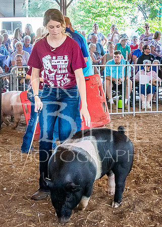 2019-07-09 - Jr. Swine Show - LB-35