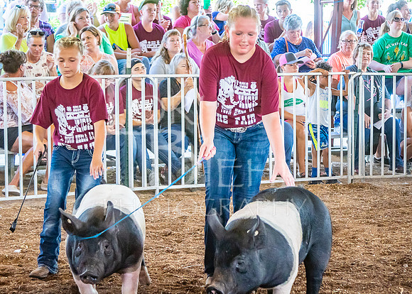 2019-07-09 - Jr. Swine Show - LB-37