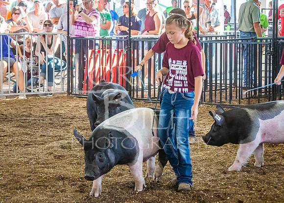 2019-07-09 - Jr. Swine Show - LB-39