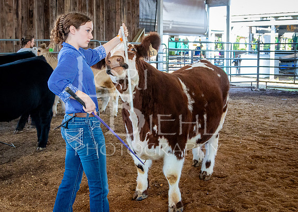 2024-07-10 LCF Master Showmanship #1 - LB-17