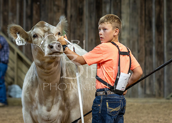 2024-07-10 LCF Jr. Steer Show #1 - CH-30