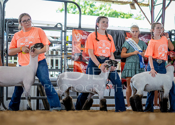 2024-07-10 LCF Jr. Sheep Show #1 - CH-13