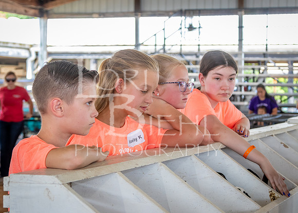 2024-07-08 LCF Jr. Rabbit Show #1 - LB-93