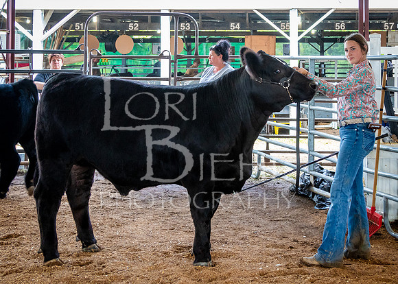 2024-07-11 LCF Jackpot Steer Show #1 - LB-26