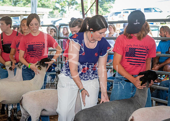 2022-07-13 LCF Jr. Lamb Show #1-LB-19