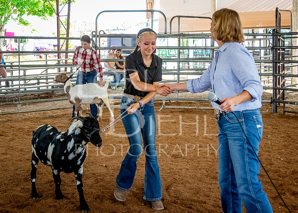 2024-07-12 LCF Open Breeding Goat Show #1 - LB-151