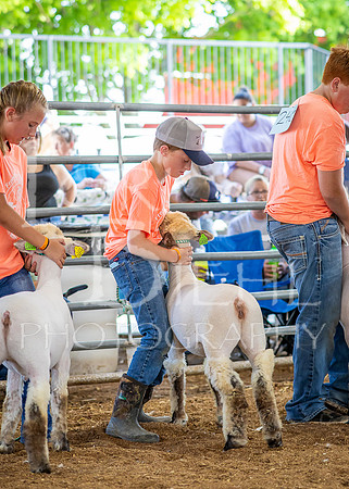 2024-07-10 LCF Jr. Sheep Show #1 - CH-29