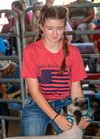 2022-07-13 LCF Jr. Lamb Show #1-LB-20